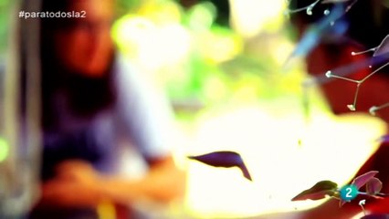 Estrategia para ser más felices. Aprender a ser más felices. Consejos para vivir más feliz.