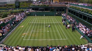 Wimbledon  Après la pluie, un match interrompu par... un Puzzle !