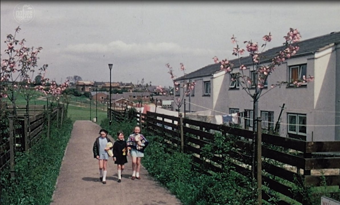 On film: Washington New Town's early years