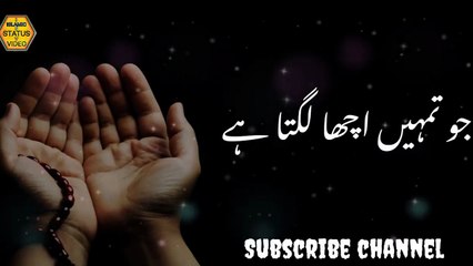 Practice Patience, Inshallah ✨