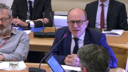 "TikTok n'est pas une entreprise économique, mais une entreprise politique"