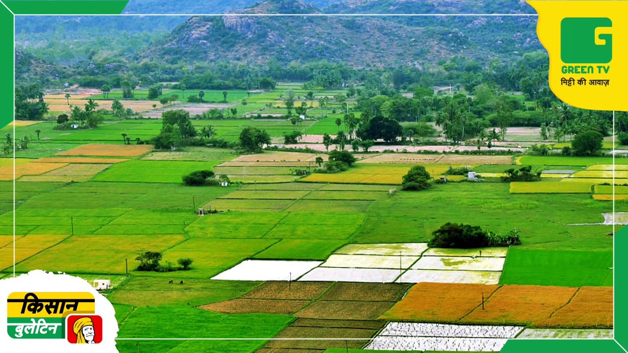 Maharashtra government is going to start a new scheme, farmers will be able to earn 1 lakh 25 thousand rupees without farming | Kisan Bulletin | Green TV