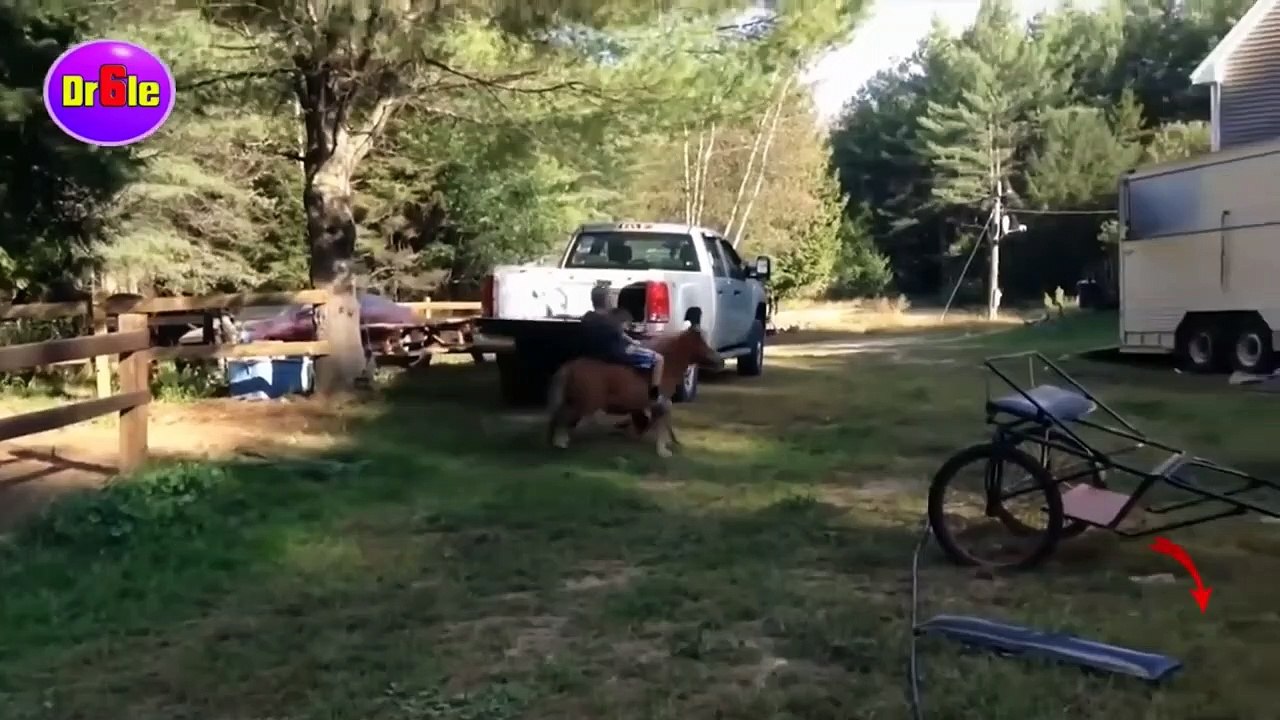 Attan Düşen insanlar - Ata binme kazaları _ Komik Videolar Serisi # 1