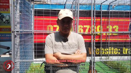 Top gà tre 6.7.2023 | Trai ga Quang Trung