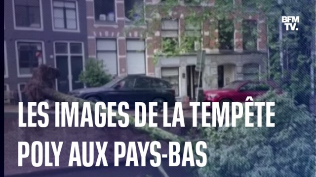 Les images de la tempête Poly aux Pays-Bas, la plus violente jamais répertoriée en été dans le pays