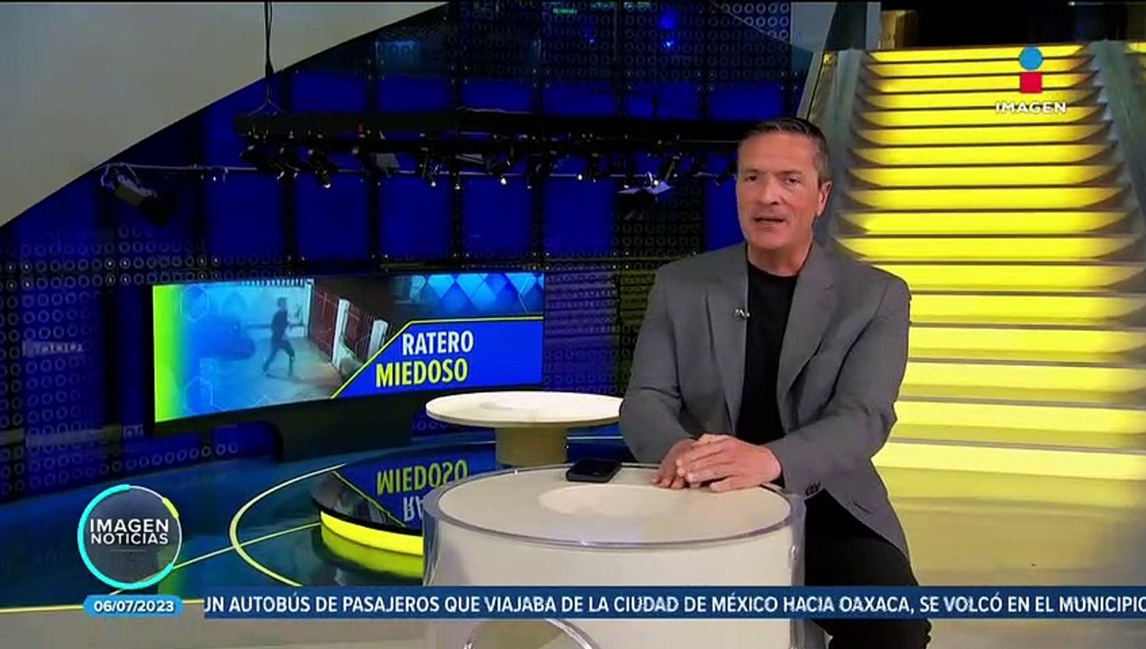 Perros chihuahua evitan robo a casa