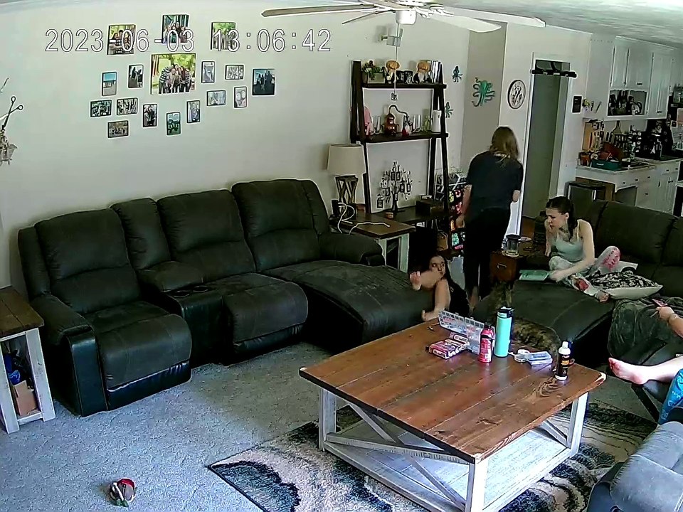 Rambunctious Cane Corso Knocks Girl Over