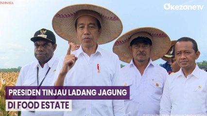Tinjau Ladang Jagung di Food Estate Papua, Presiden: Ada Beberapa Hal yang Bisa Diperbaiki