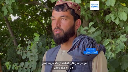 افغانستان از بزرگ‌ترین تولید‌کنندگان مواد مخدر جهان؛ آیا طالبان تولید تریاک را به صفر می‌رساند؟