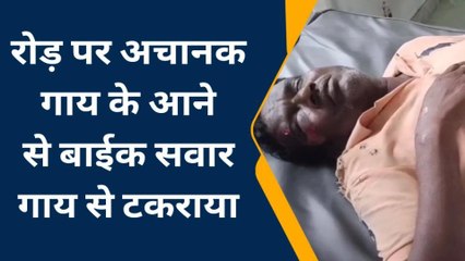 भीलवाडा : सड़क पर अचानक गाय के आने से बाईक सवार हुआ घायल