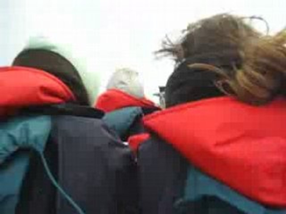 Whales Watching agité