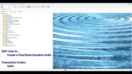 SD Create a Food Bank Donation Order