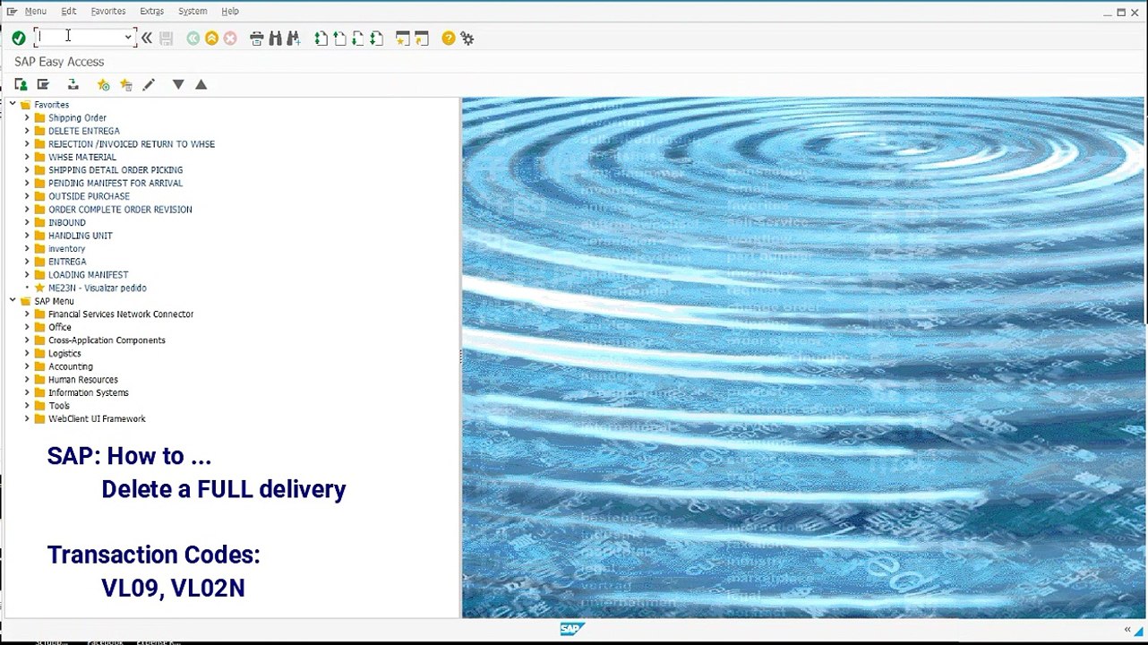 SD Delete a FULL delivery