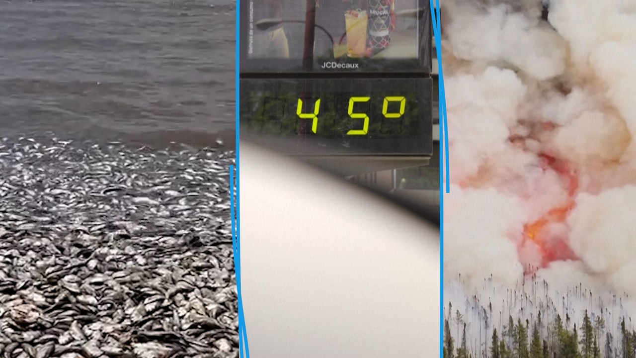 Mégafeux, températures records et morts… Le mois de juin 2023 est le plus chaud jamais enregistré