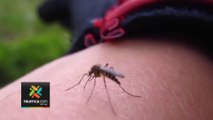 tn7-salida-masiva-de-vacacionistas-enciende-alerta-por-dengue-060723