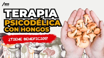 PSIC0DÉL¡COS: estos son los USOS MEDICINALES Y RECREATIVOS de la psilocibina