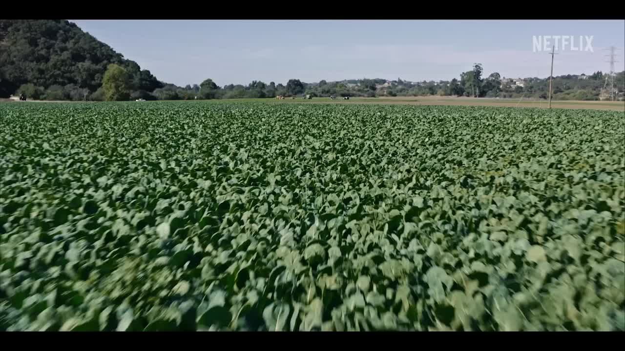 Du poison au menu : trailer VO