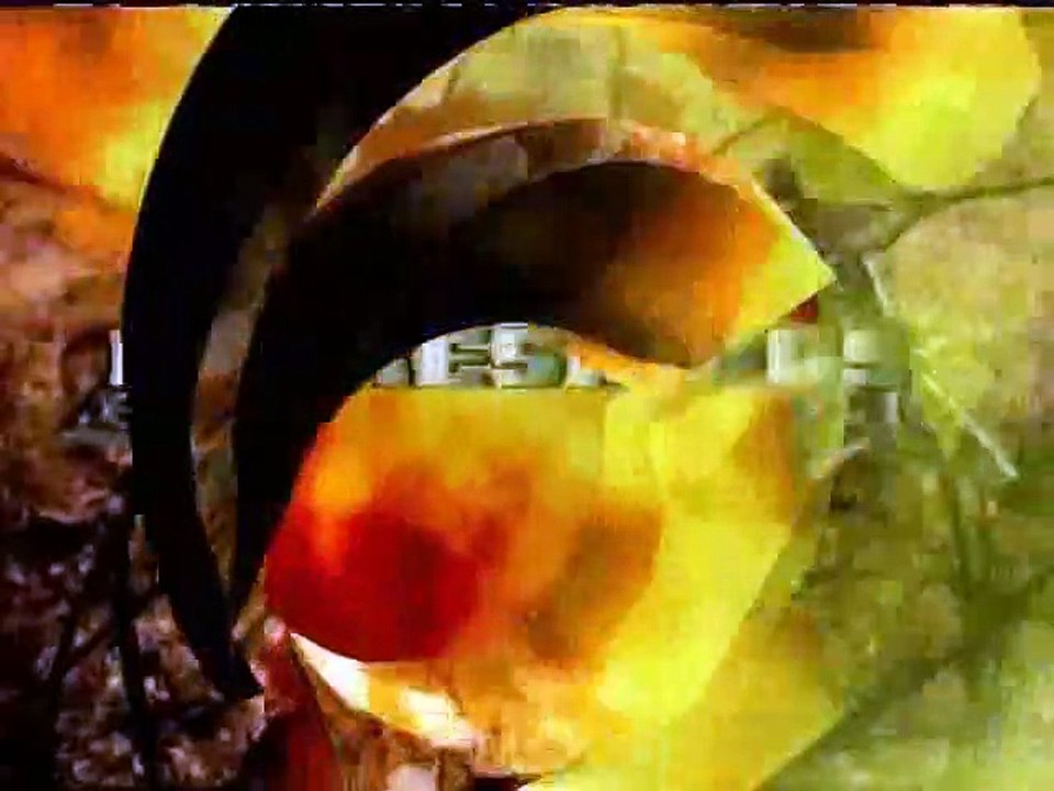 Canek & El Hijo del Canek vs Hijo de Pirata Morgan & Pirata Morgan vs Negro Navarro & Trauma vs Máscara Año 2000 & Máscara Año 2000 Jr vs Exodia & Olímpico vs Hijo del Pantera & Pantera | IWRG 12.20.2009 Arena Naucalpan