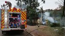 Bombeiros combatem incêndio em vegetação no Cascavel Velho