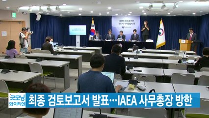 [YTN 실시간뉴스] 최종 검토보고서 발표…IAEA 사무총장 방한 / YTN