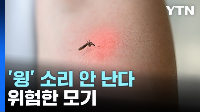 수도권 '말라리아' 확산...'윙' 소리 안 나는 모기 주의 [앵커리포트] / YTN
