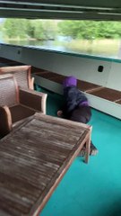 Man on Sightseeing Boat Gets a Lesson in Physics