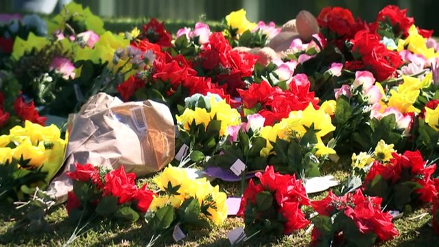 Pilot program to provide affordable housing for domestic violence survivors