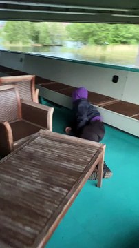 Man on Sightseeing Boat Gets a Lesson in Physics