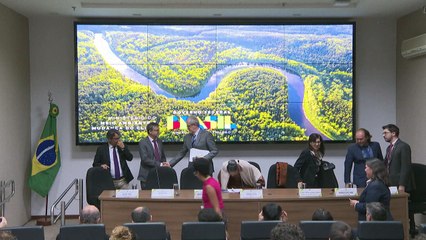 Desmatamento na Amazônia cai 33% no primeiro semestre