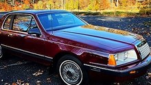 1984 FORD THUNDERBIRD . Classic muscle cars show. سيارات كلاسيكيه
