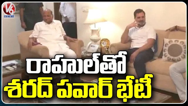 Maharashtra Politics :' Amid NCP Crisis, Rahul Gandhi Meets Sharad Pawar At Delhi | V6 News