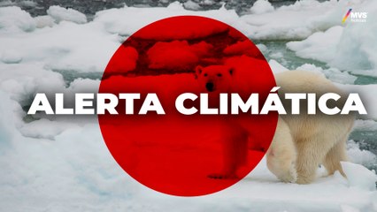 CAMBIO CLIMÁTICO desenfrenado: El RÉCORD HISTÓRICO de la TEMPERATURA media de la TIERRA