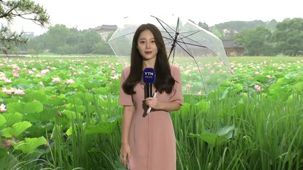 [날씨] 호수 수놓은 분홍 연꽃...충청 이남에는 장맛비 / YTN