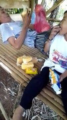 CACAO farm Kids at small hut having Snacks
