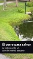 Momento en que un caimán corre para atacar a un pescador