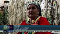 Las comunidades originarias de México realizan rituales en busca de mejores condiciones climáticas