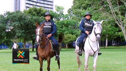 tn7-policia-momtada-velan por seguridad en parques y eventos-060723