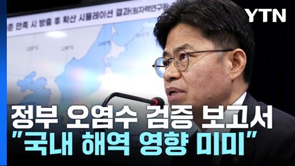 정부 "日 오염수 방류계획 국제기준 부합...국내 영향 미미" / YTN
