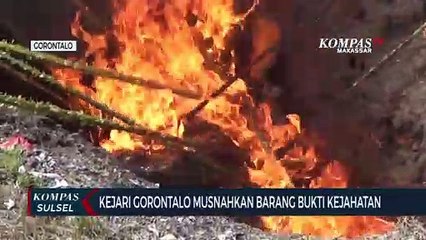 Descargar video: Kejari Gorontalo Musnahkan Barang Bukti Kejahatan