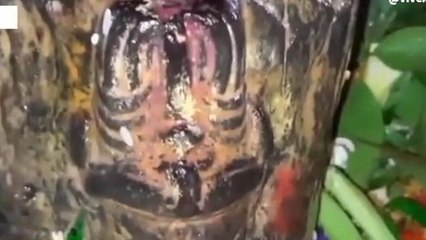 5000 साल पुराना है सिवान के इस मंदिर का इतिहास, जानिए क्या है यहां की मान्यता?