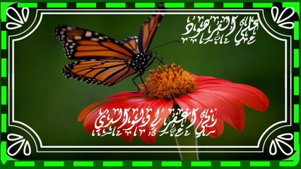اجمل تلاوة قران