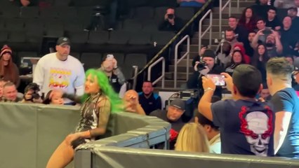 Shotzi Blackheart Takes Out Fan at WWE Survivor Series