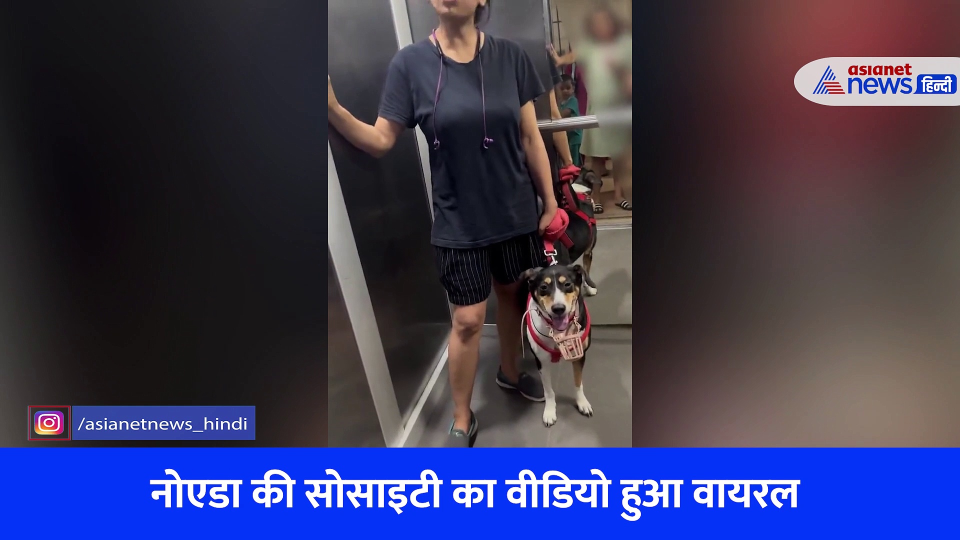 नोएडा: लिफ्ट में कुत्ता ले जाने पर जमकर हुई कहासुनी, जानिए महिला ने क्यों कहा- तुम्हारी बीवी से हूं बेहतर, देखें वीडियो