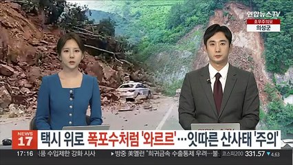 택시 위로 폭포수처럼 '와르르'…잇따른 산사태 '주의'