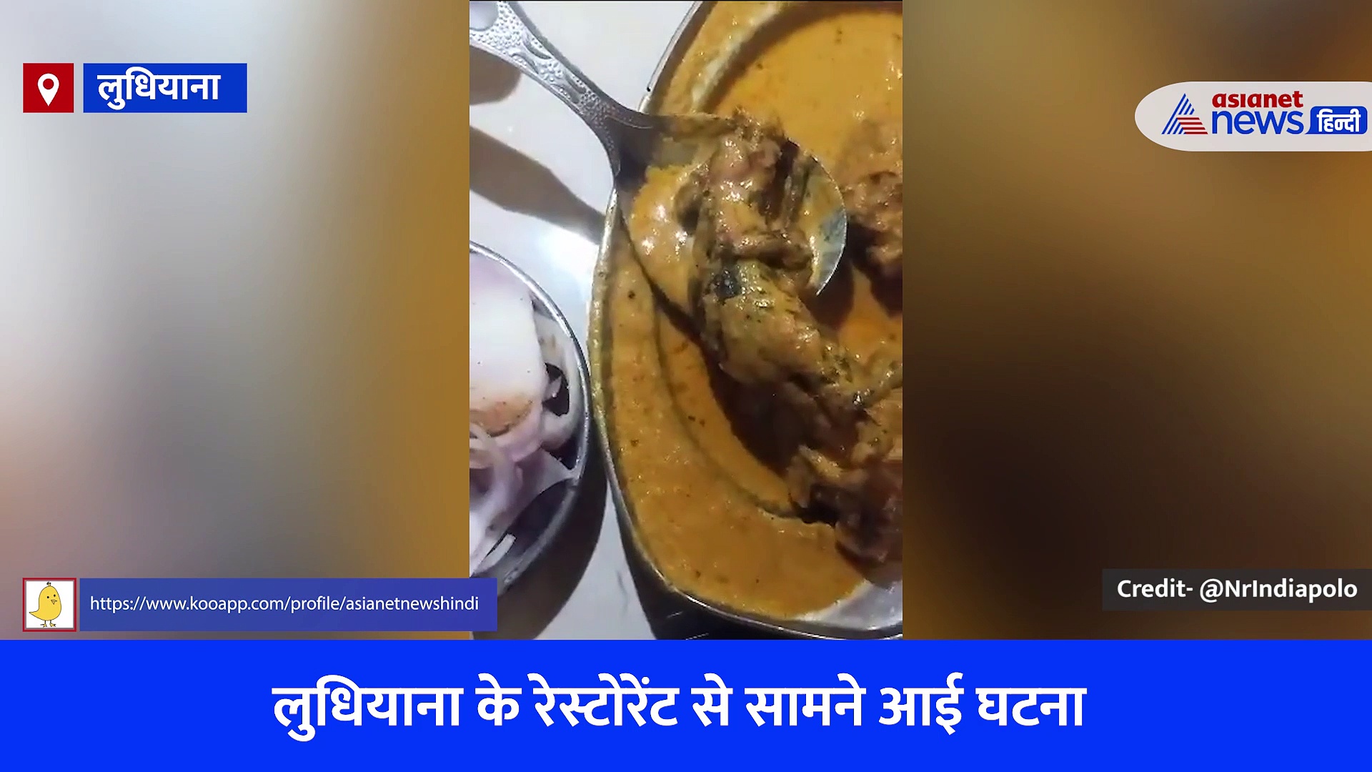 मटन की जगह प्लेट में सर्व कर दिया गया मरा हुआ चूहा, देखें लुधियाना के ढाबे का यह शॉकिंग वीडियो