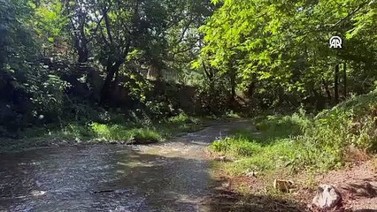 Bursa'da yeni parazit türü keşfedildi