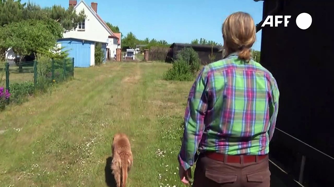Menschen auf rügen kämpfen gegen lng-terminal