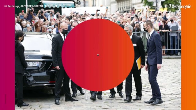 Alain Delon abusé par Hiromi Rollin : sa fille Anouchka injuriée, son chien attaqué au Taser ... détails sordides de la situation