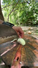 بالفيديو، أشهى  صينية لازانيا