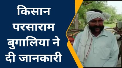 नागौर: बढ़ती फसल के साथ किसानों को सता रही ये चिंता....देखिए खबर